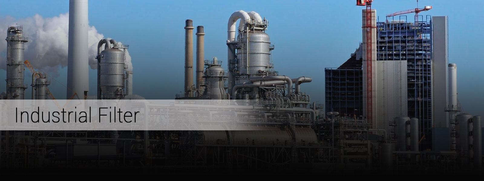 Industrial Filter Manufacturer of PTFE Cartridge Filter India Supplier